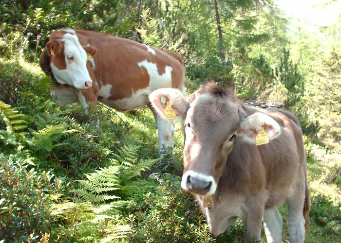 Apartament Haus Gavlik